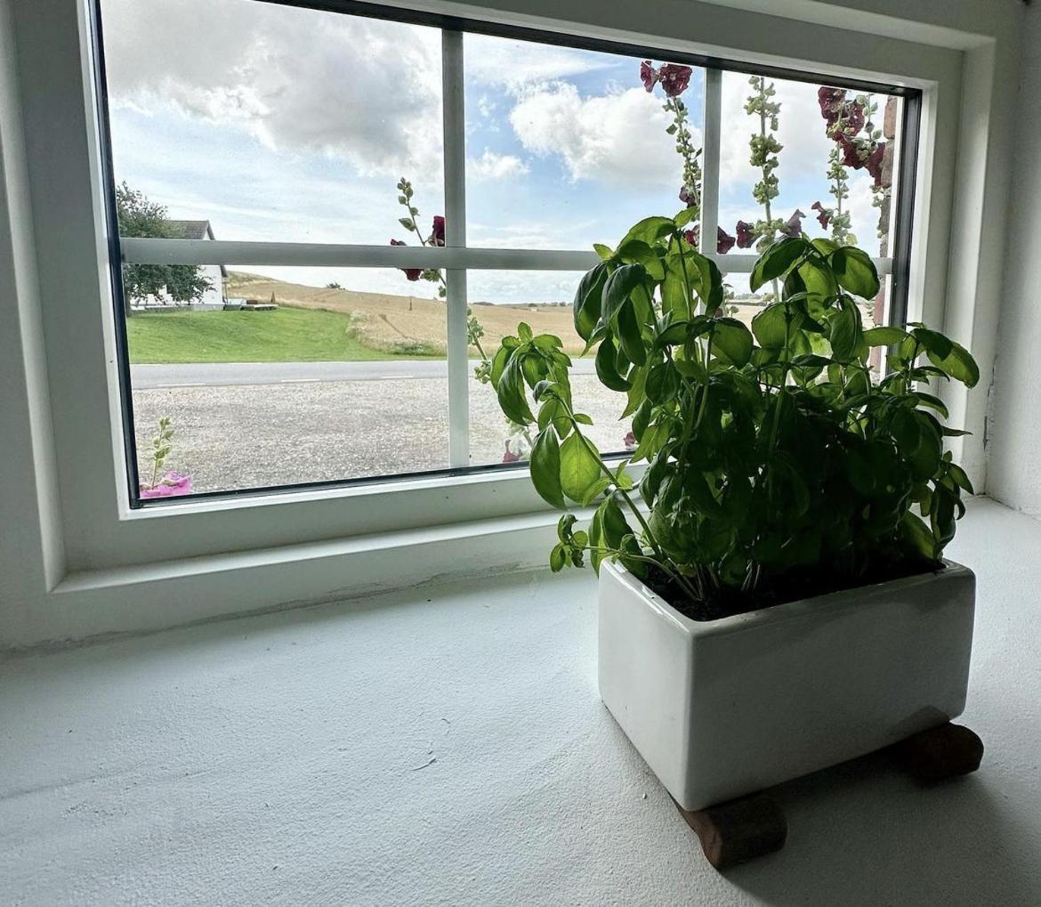 Lilla Stenhuset Ystad Eksteriør billede